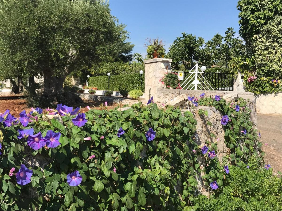 Il Trullo Di Nonno Angelo San Marco Hotel Locorotondo Bagian luar foto