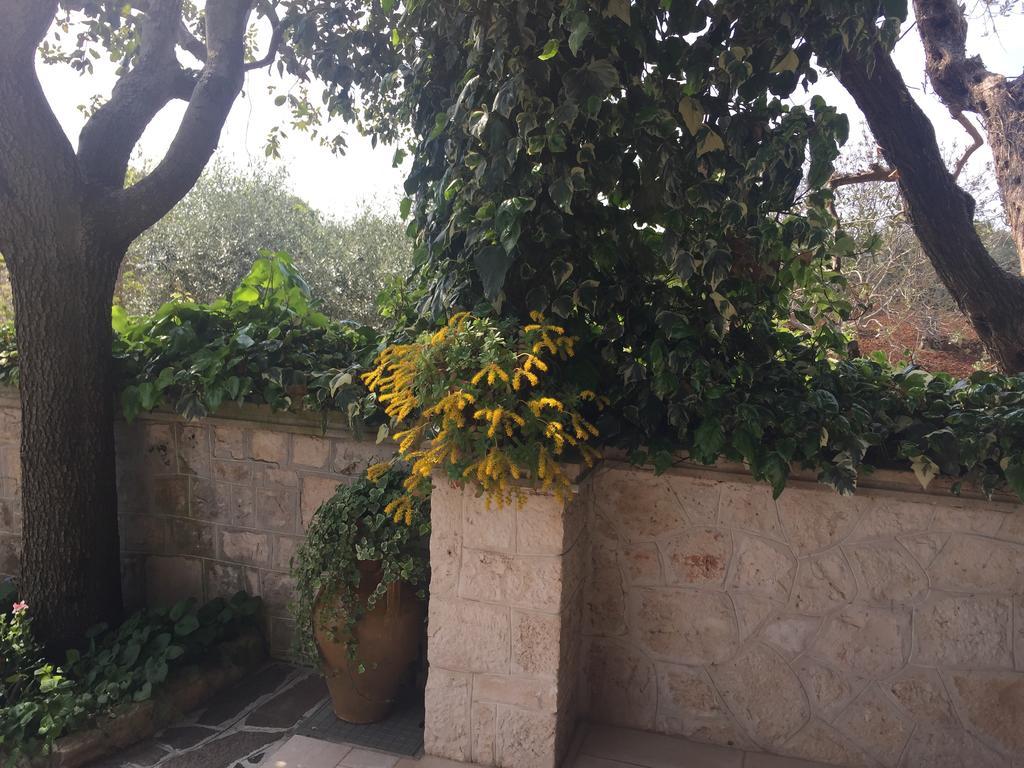 Il Trullo Di Nonno Angelo San Marco Hotel Locorotondo Bagian luar foto