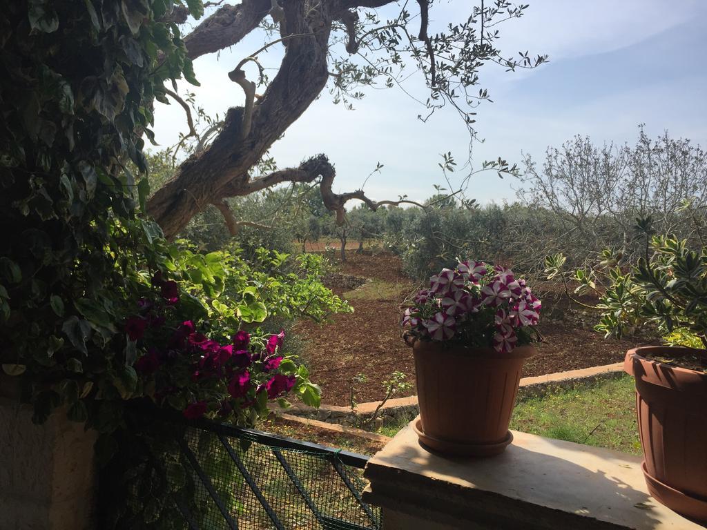Il Trullo Di Nonno Angelo San Marco Hotel Locorotondo Bagian luar foto