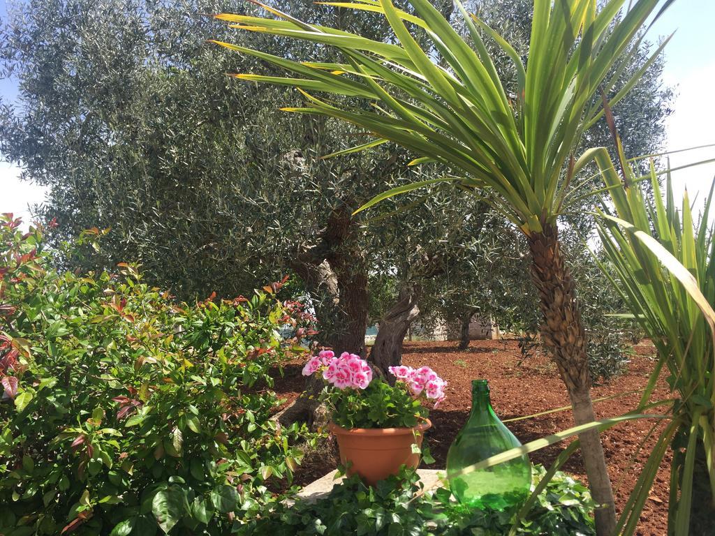 Il Trullo Di Nonno Angelo San Marco Hotel Locorotondo Bagian luar foto