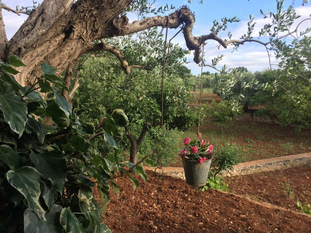 Il Trullo Di Nonno Angelo San Marco Hotel Locorotondo Bagian luar foto